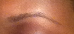 Natural Brow being filled in with pencil
